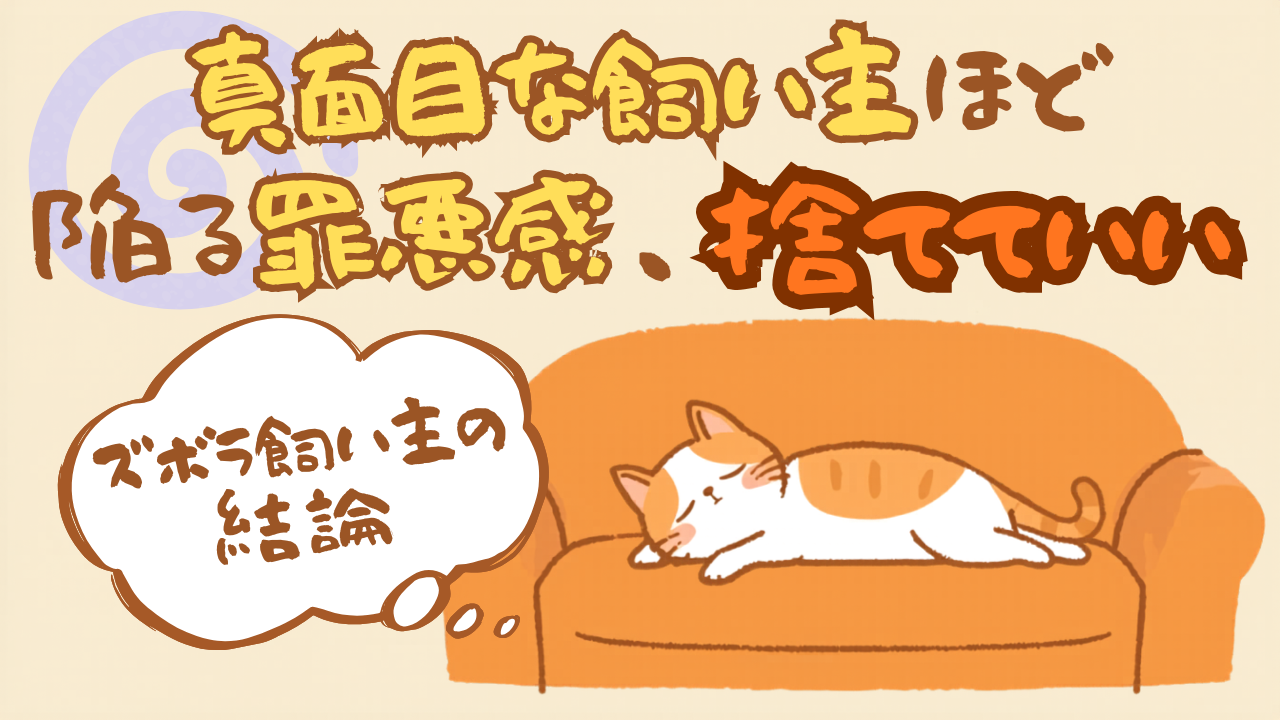 猫と遊んであげられない罪悪感