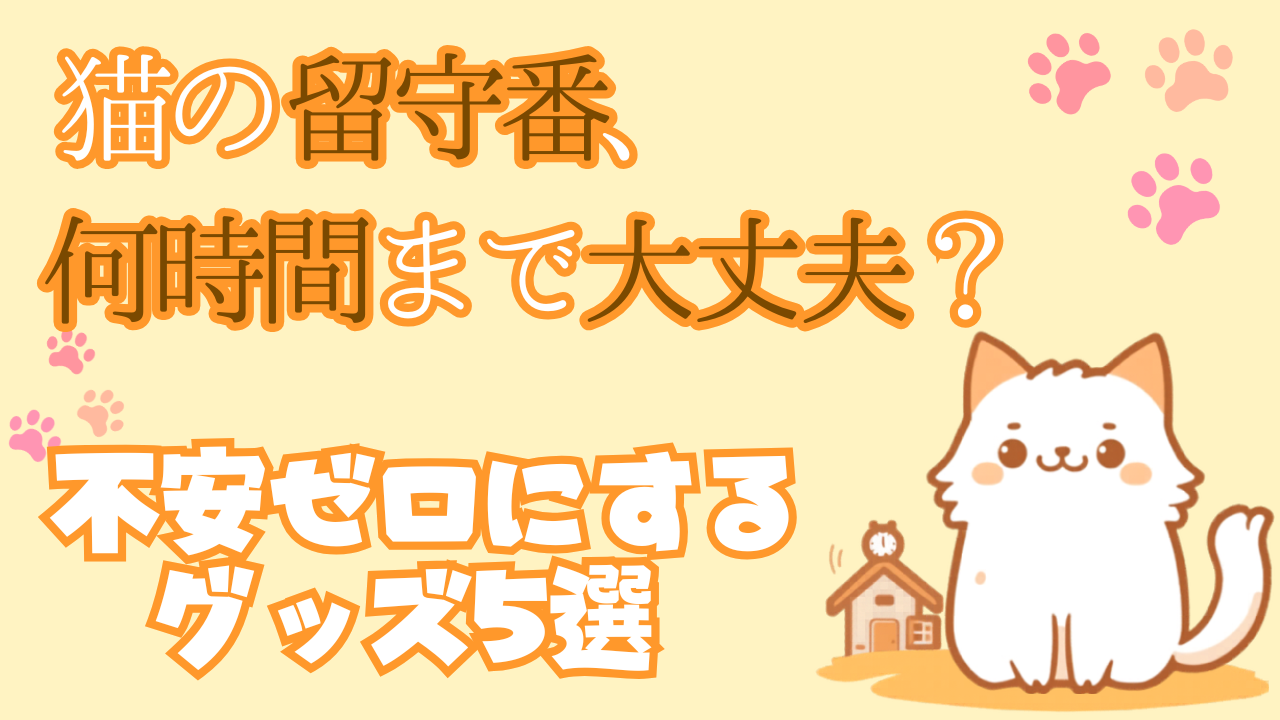 猫の留守番グッズ5選