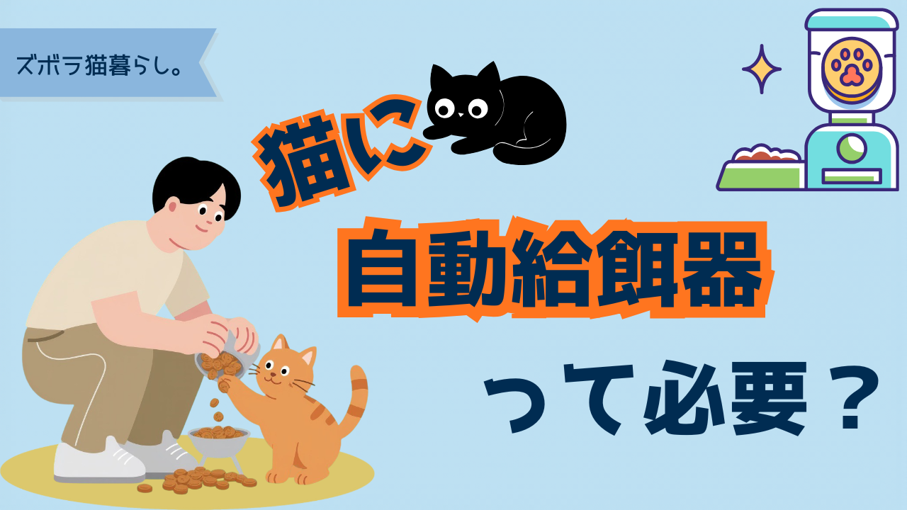 猫に自動給餌器は必要か