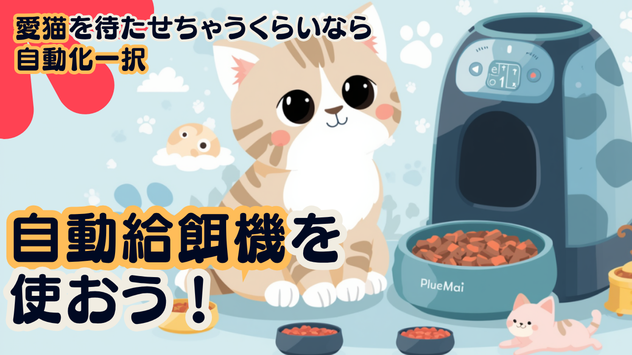 猫の自動給餌器5選