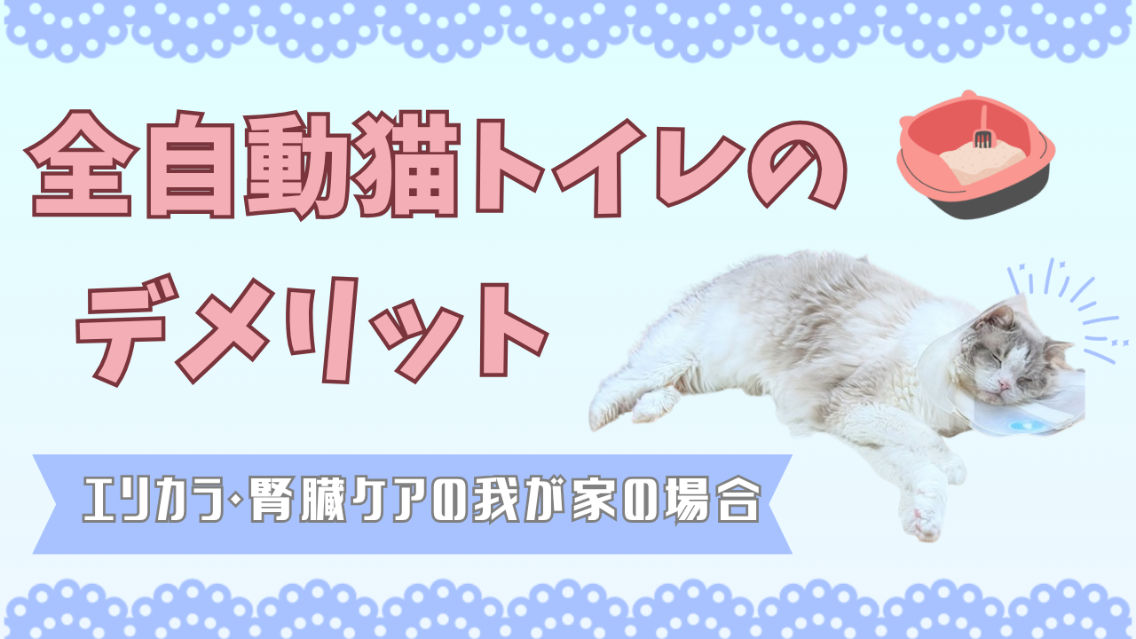 全自動猫トイレのデメリットを調べる