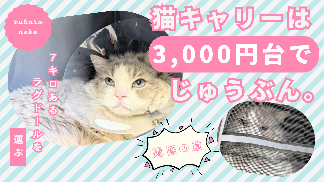 猫キャリーバッグの選び方