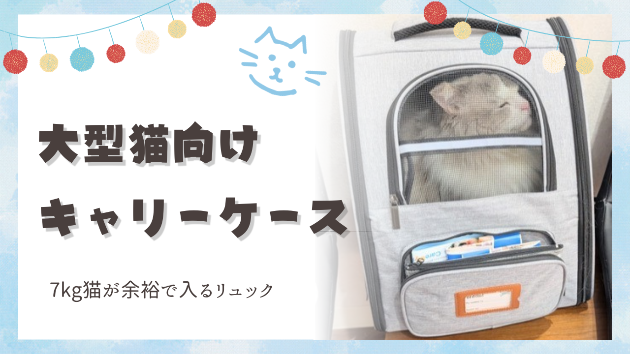 ラグドール用キャリーケースの選び方