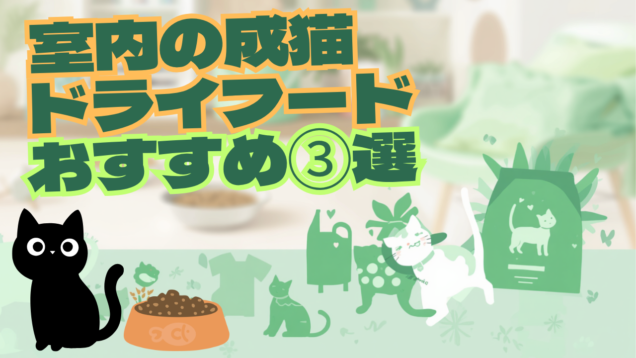 室内猫のドライフード3選