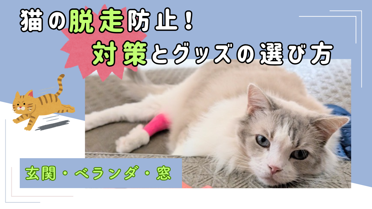 猫の脱走防止グッズまとめ
