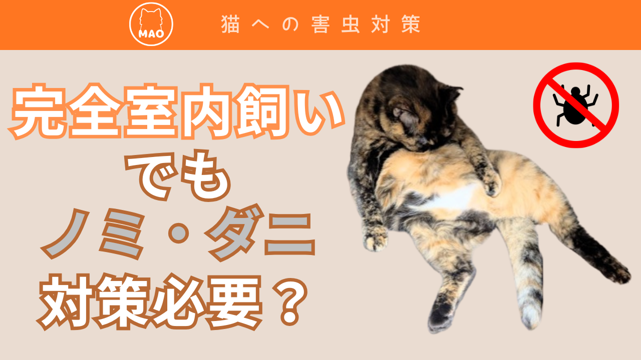 猫のノミ・ダニ対策
