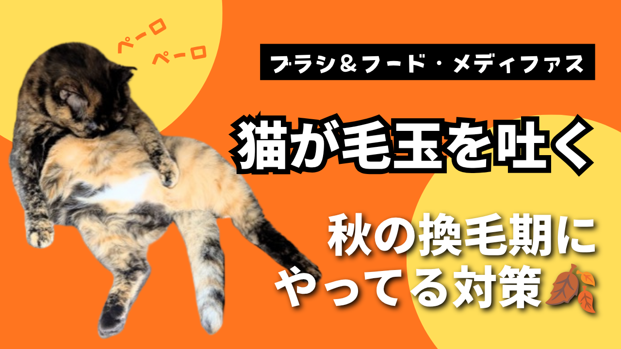 猫が毛玉を吐く【秋の換毛期の対策】