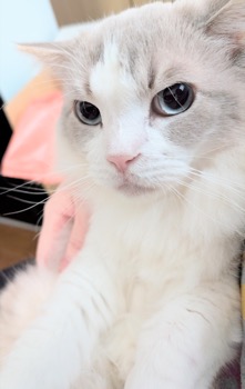 処置を終えたまお君