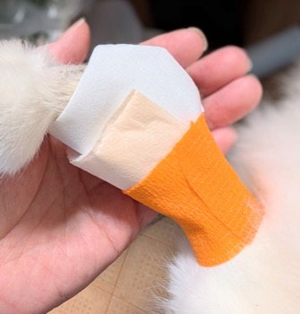 メロリンの上に給水パッドを重ねた状態