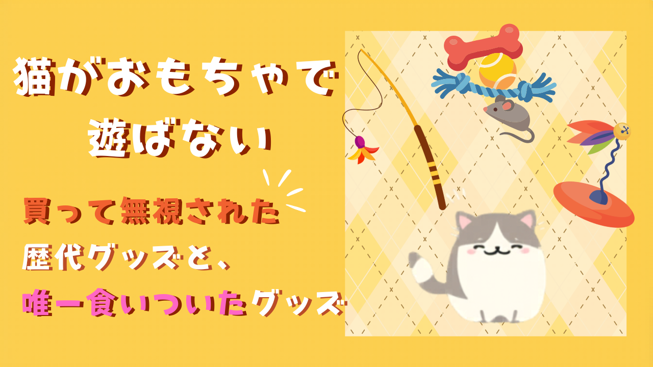 猫がおもちゃで遊ばない