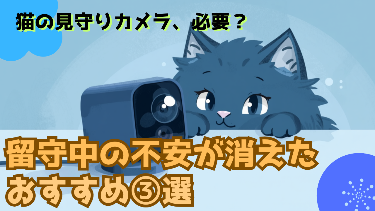 猫の見守りカメラ3選