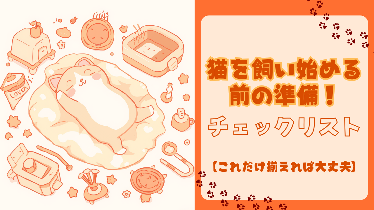 猫を飼い始める前の準備チェックリスト