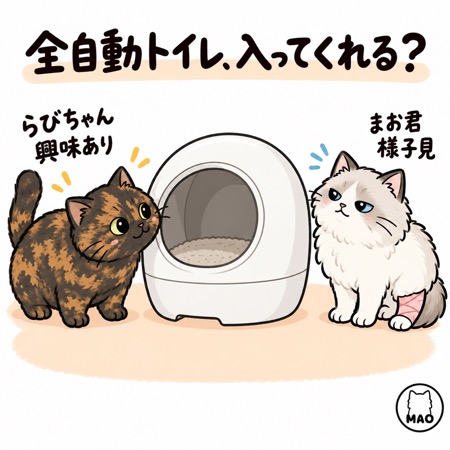 全自動猫トイレをのぞき込む猫と、離れて様子を見る猫