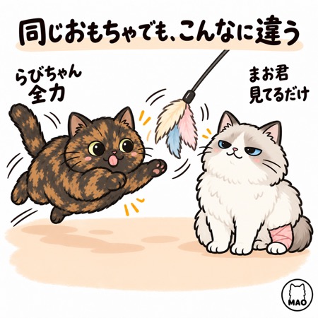 同じおもちゃでも反応が違う猫2匹。サビ猫は全力で飛びつき、ラグドールは見ているだけ